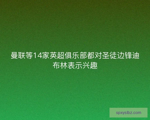曼联等14家英超俱乐部都对圣徒边锋迪布林表示兴趣